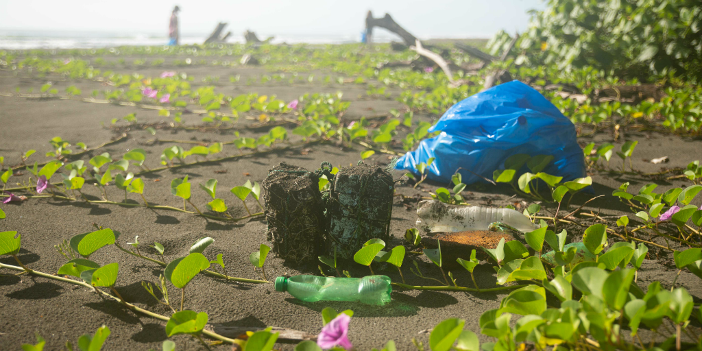 Seven facts about plastic pollution and how you can minimise your ...