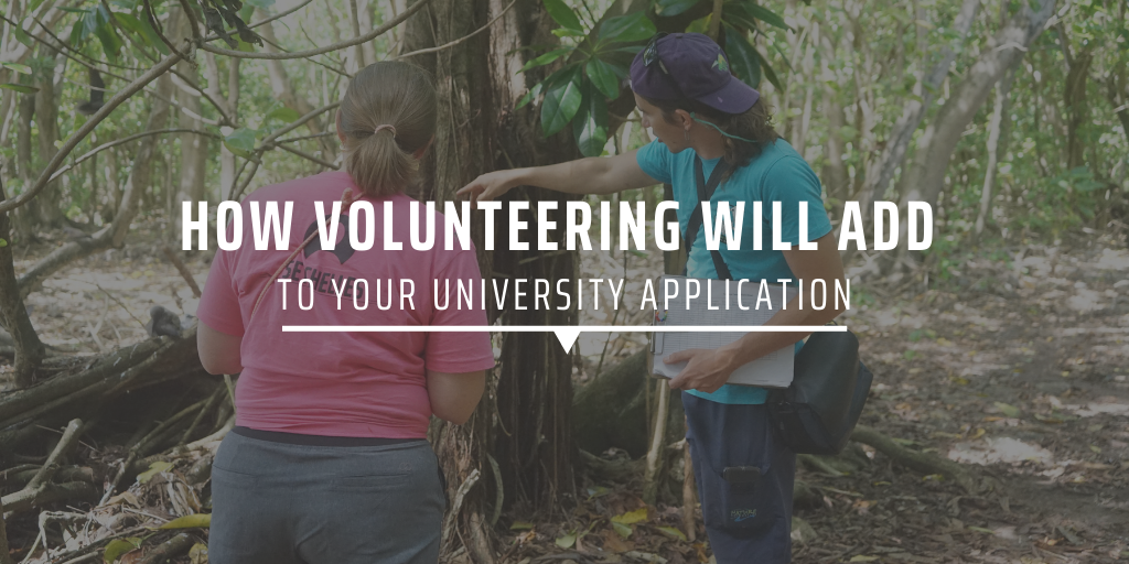 How volunteering will add to your university application