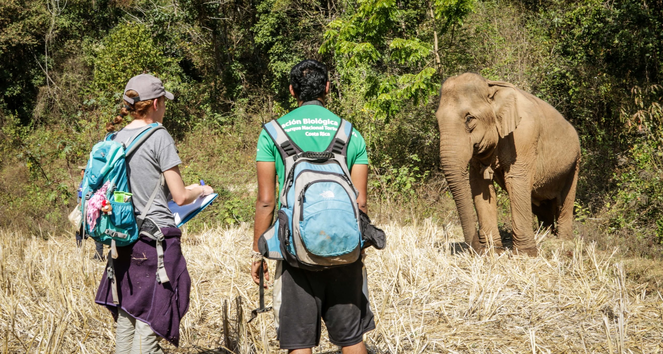 celebrating-the-urban-wildlife-conservation-program-defenders-of-wildlife