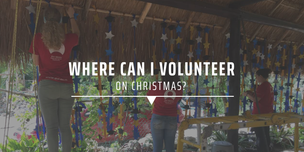 Where can I volunteer on Christmas? GVI AUS