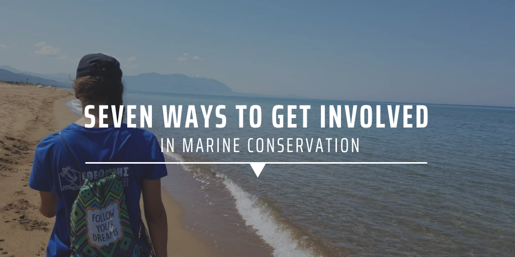 Seven ways to get involved in marine conservation.