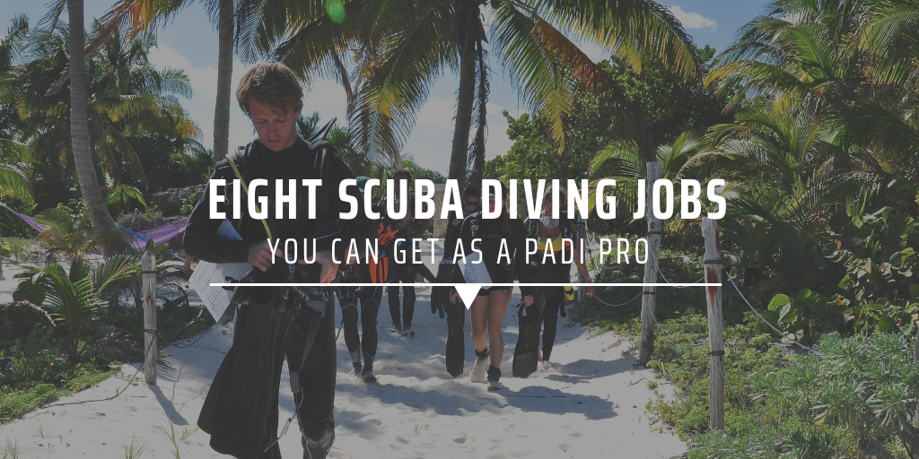 Eight scuba diving jobs you can get as a PADI pro